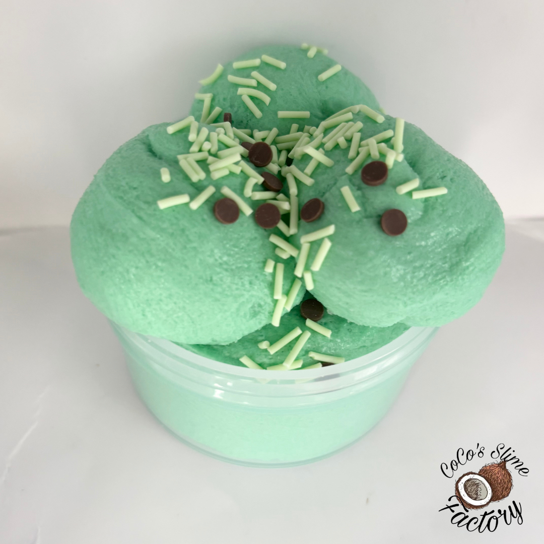 Mint Chocolate Chip Icecream Slime