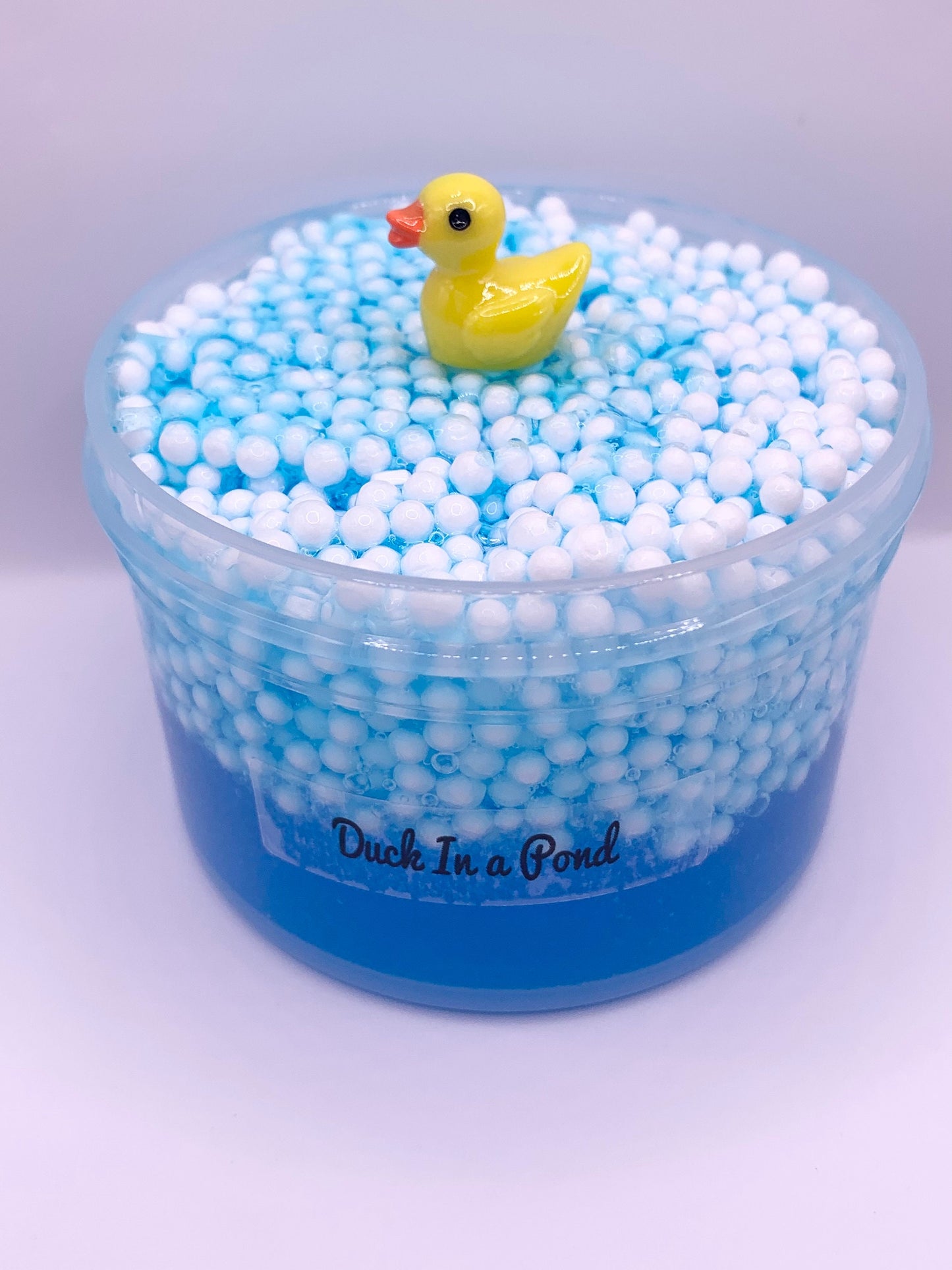 Duck in a Pond Slime