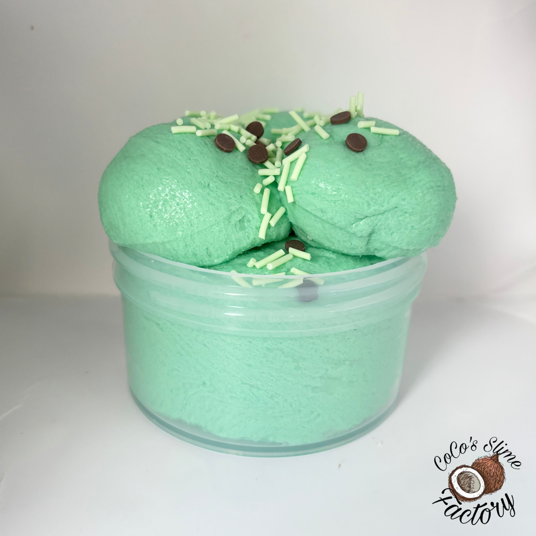Mint Chocolate Chip Icecream Slime