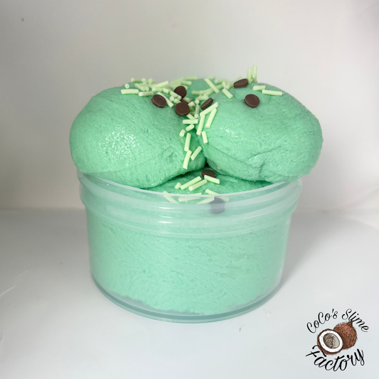 Mint Chocolate Chip Icecream Slime